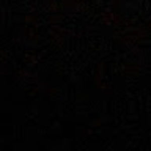 Meet your Posher, Tala